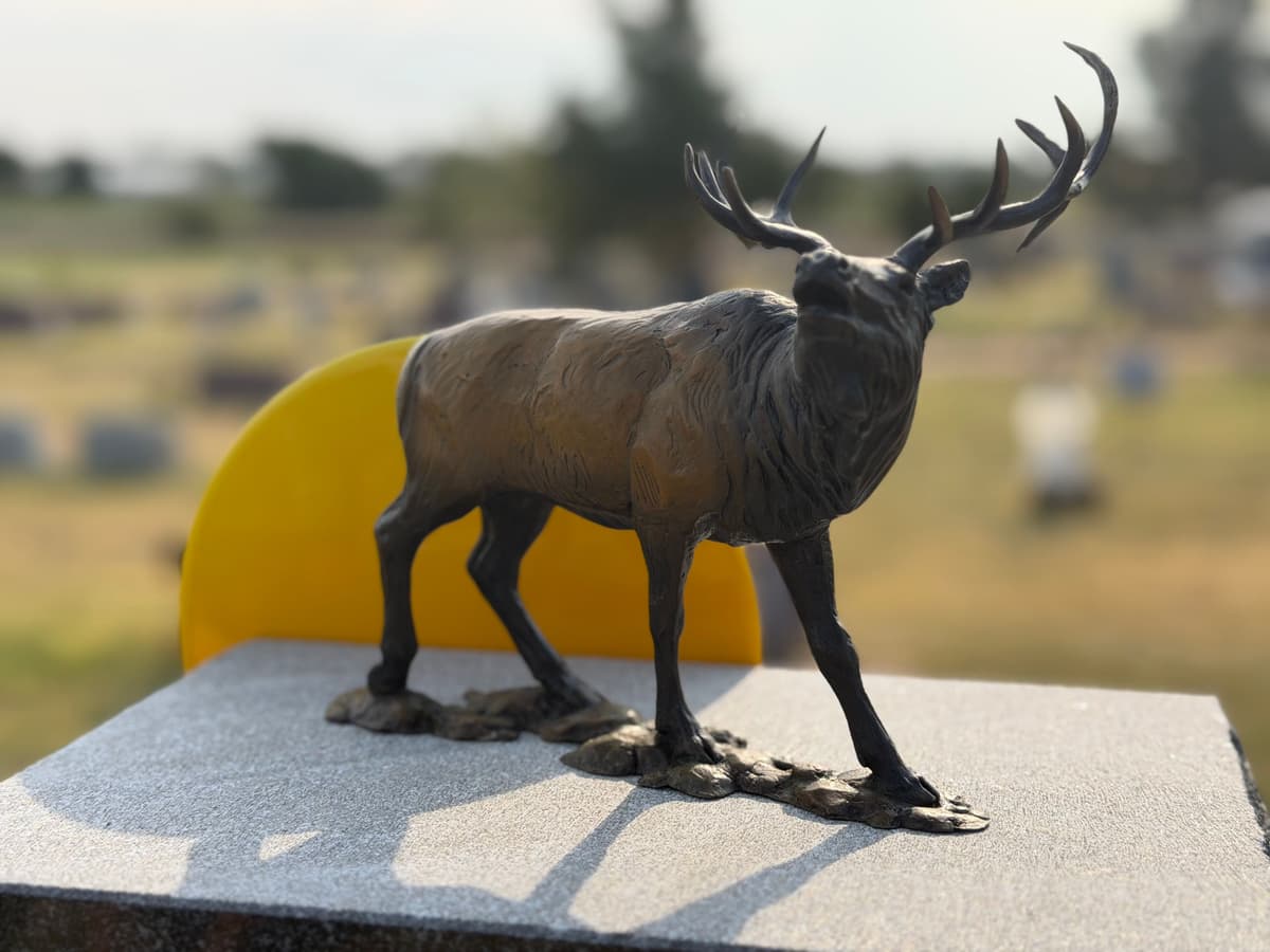 Bronze Elk Memorial